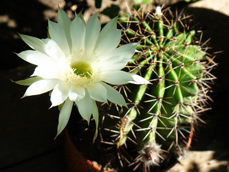 Similar image 1346580