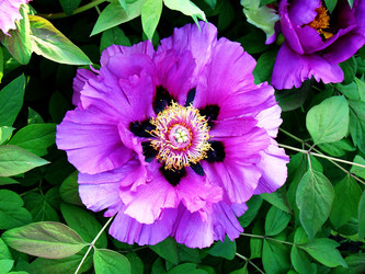 Similar image 1346581