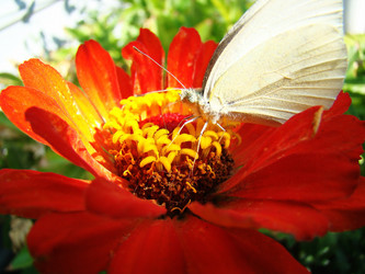 Similar image 1346582