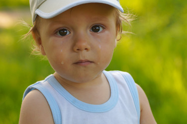 Similar image 1346708