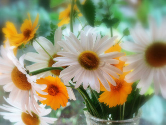 Similar image 1346719