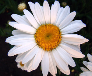 Similar image 1346720