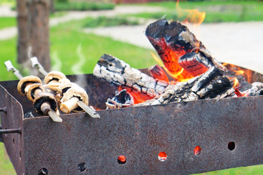 Similar image 1346731