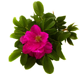 Similar image 1346744