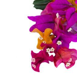 Similar image 1346749