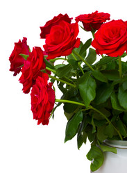 Similar image 1346750