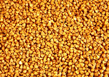 Similar image 1346806