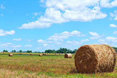 Similar image 1346813