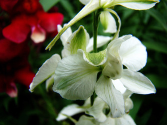 Similar image 1346822