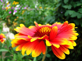 Similar image 1346823