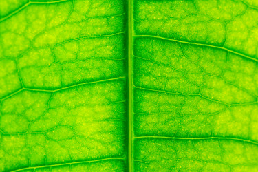 Similar image 1346836