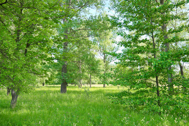 Similar image 1346837