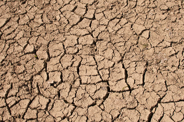 Similar image 1346927