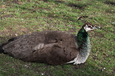 Similar image 1347012