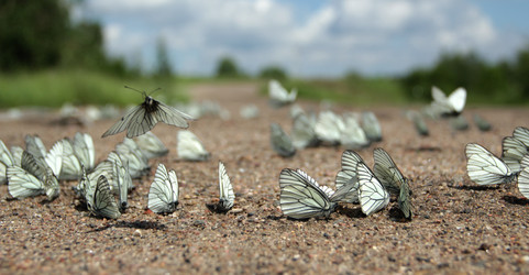 Similar image 1347018