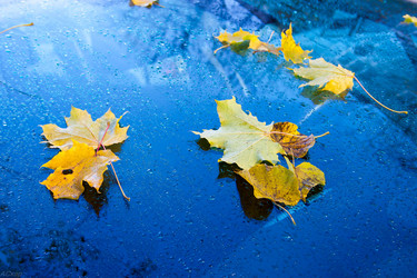 Similar image 1347020