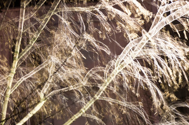 Similar image 1347021