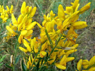 Similar image 1347031