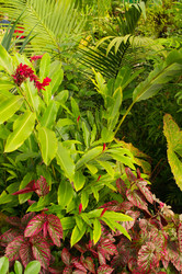 Similar image 1347033