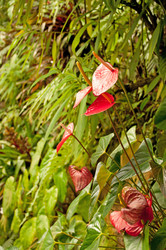 Similar image 1347042