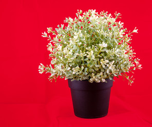 Similar image 1347054