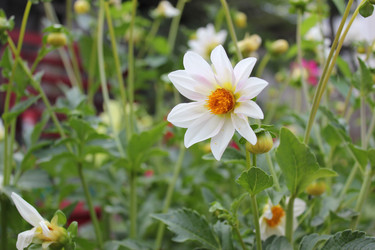 Similar image 1347059