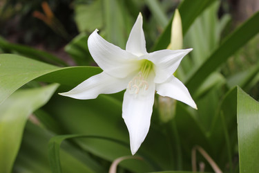 Similar image 1347060