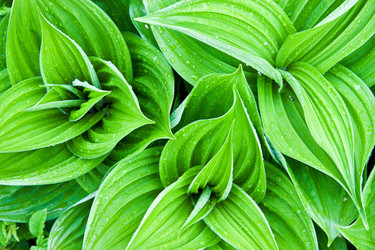 Similar image 1347089