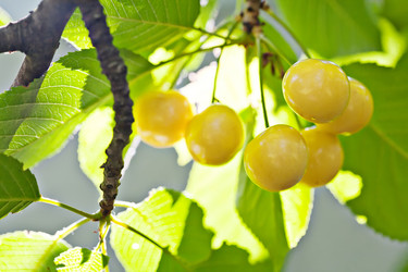 Similar image 1347096