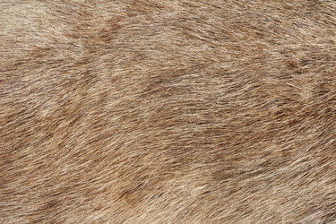 Similar image 1347126