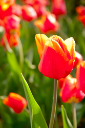 Similar image 1347296