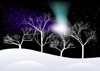 Similar image 1347338