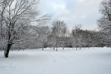 Similar image 1347612