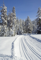 Similar image 1347619