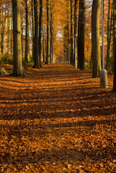 Similar image 1347633