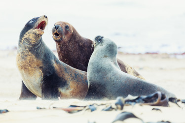 Similar image 1347686