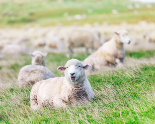 Similar image 1347693