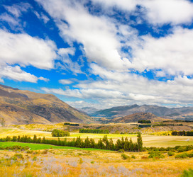 Similar image 1347694