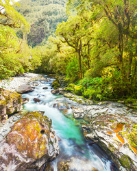 Similar image 1347699