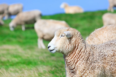 Similar image 1347701