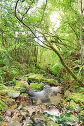 Similar image 1347727