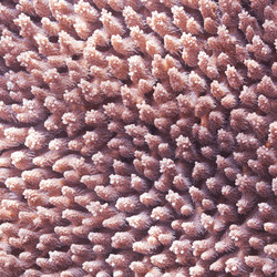 Similar image 1347732