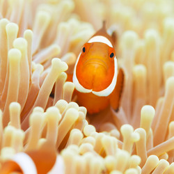 Similar image 1347733