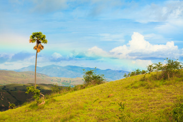 Similar image 1347735