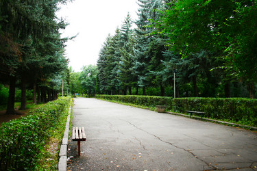 Similar image 1347966