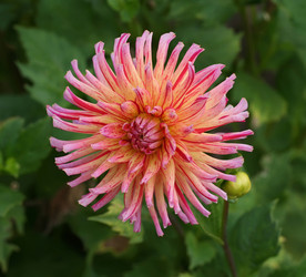 Similar image 1348121