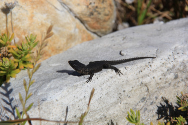 Similar image 1348152