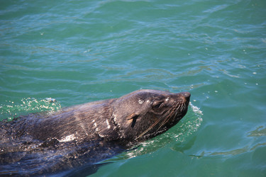 Similar image 1348163