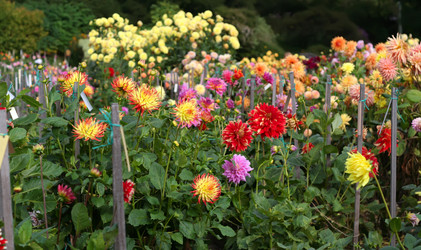 Similar image 1348203