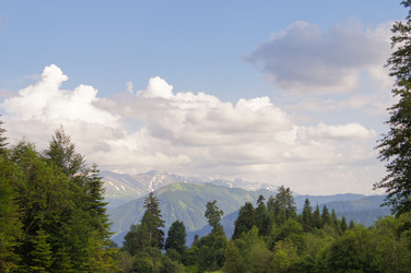 Similar image 1348365